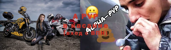 СК Зеленокумск