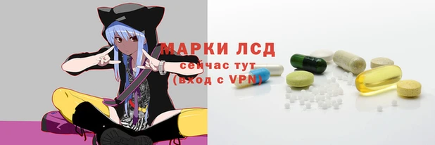 СК Зеленокумск