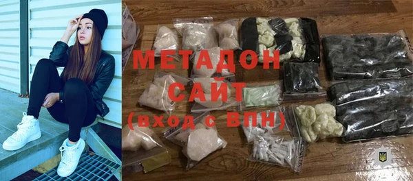 прущие грибы Заводоуковск