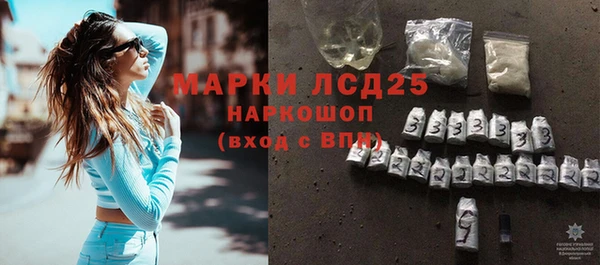 СК Зеленокумск