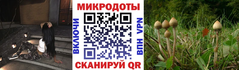 Купить  Киренск  Псилоцибиновые грибы прущие грибы 